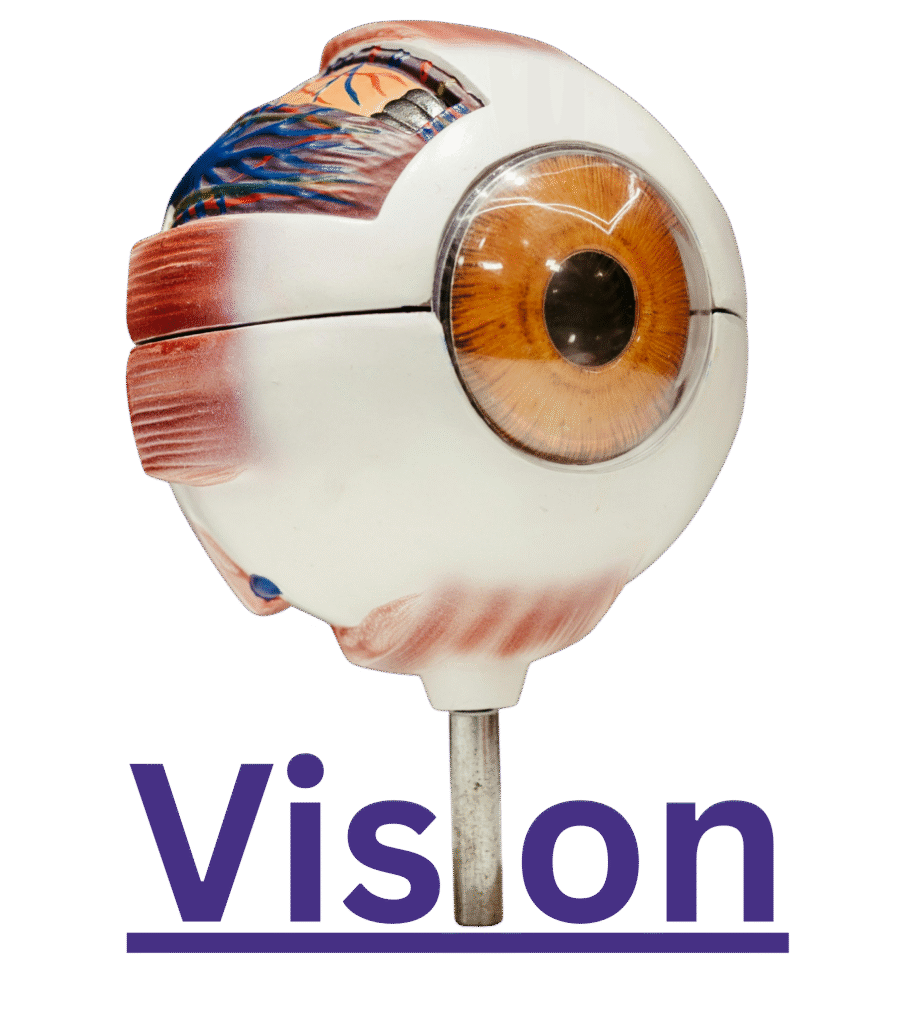 Add A Heading 11 910x1024